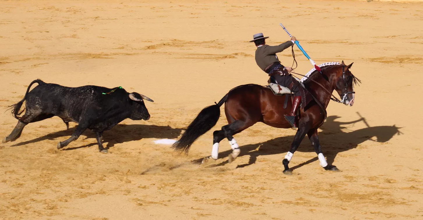 Corrida de rejones en San Lorenzo. Foto Marina DePlacido Sampietro
