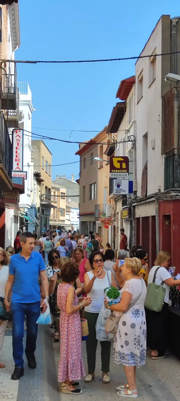 Fiesta del Comercio de Sariñena