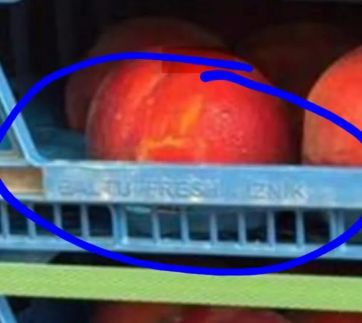 Uaga denuncia un posible fraude que afecta al melocotón rojo de Aragón.