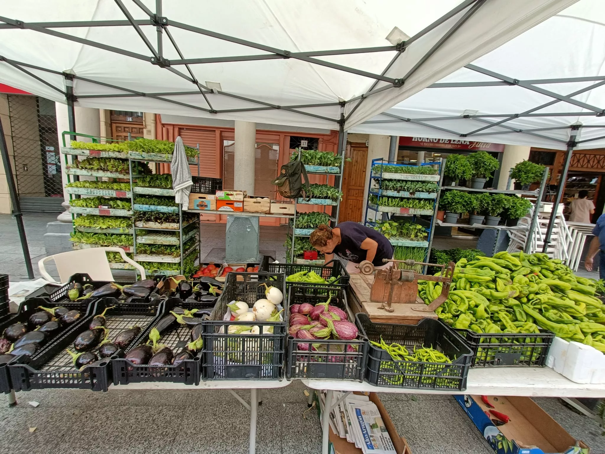 Muestra de Frutas y Hortalizas y los Sábados con Sabor a Barbastro y Somontano