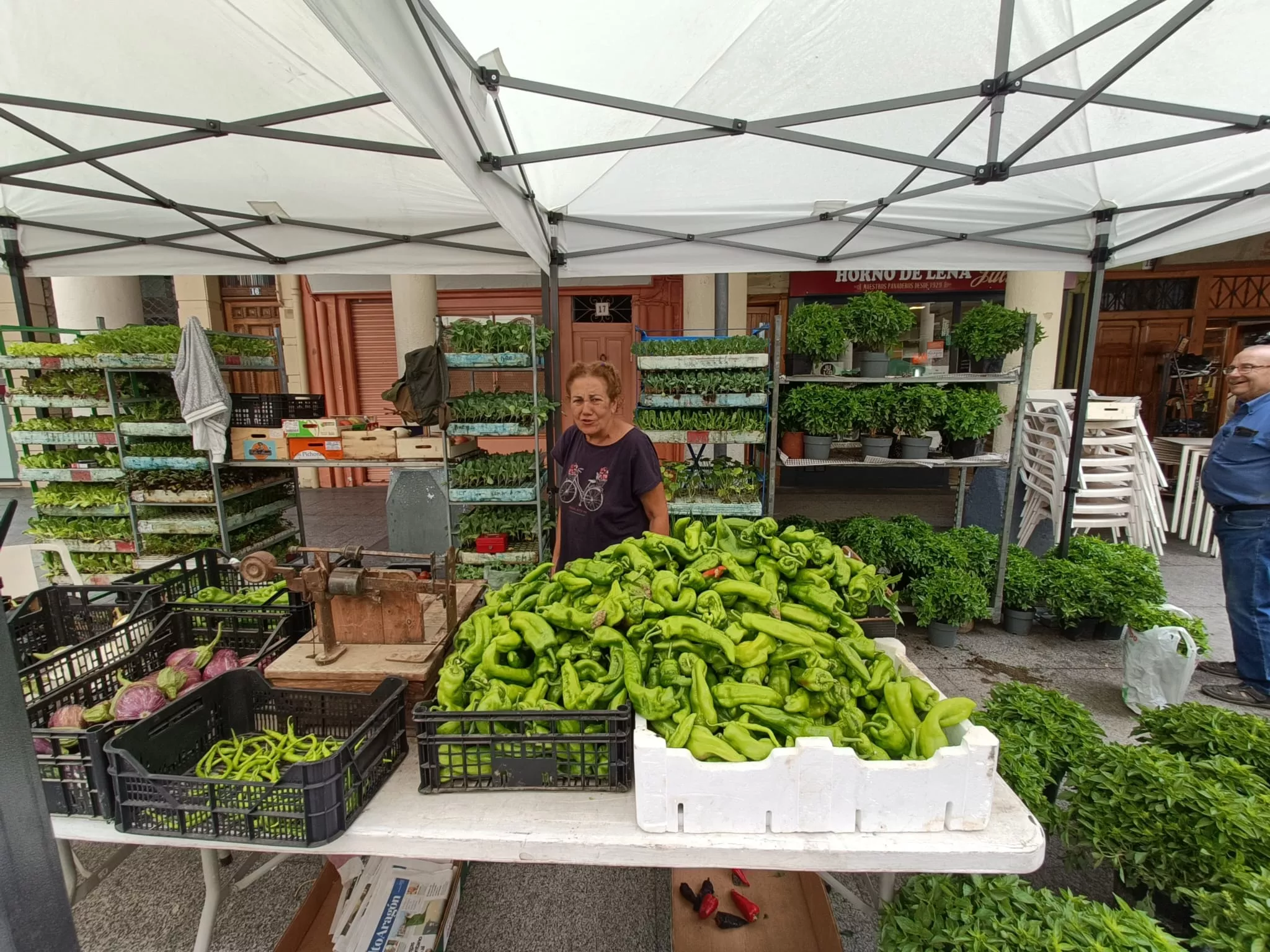 Muestra de Frutas y Hortalizas y los Sábados con Sabor a Barbastro y Somontano