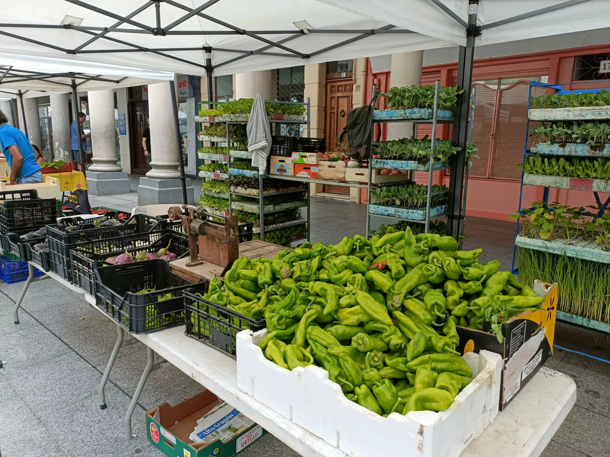 Muestra de Frutas y Hortalizas y los Sábados con Sabor a Barbastro y Somontano