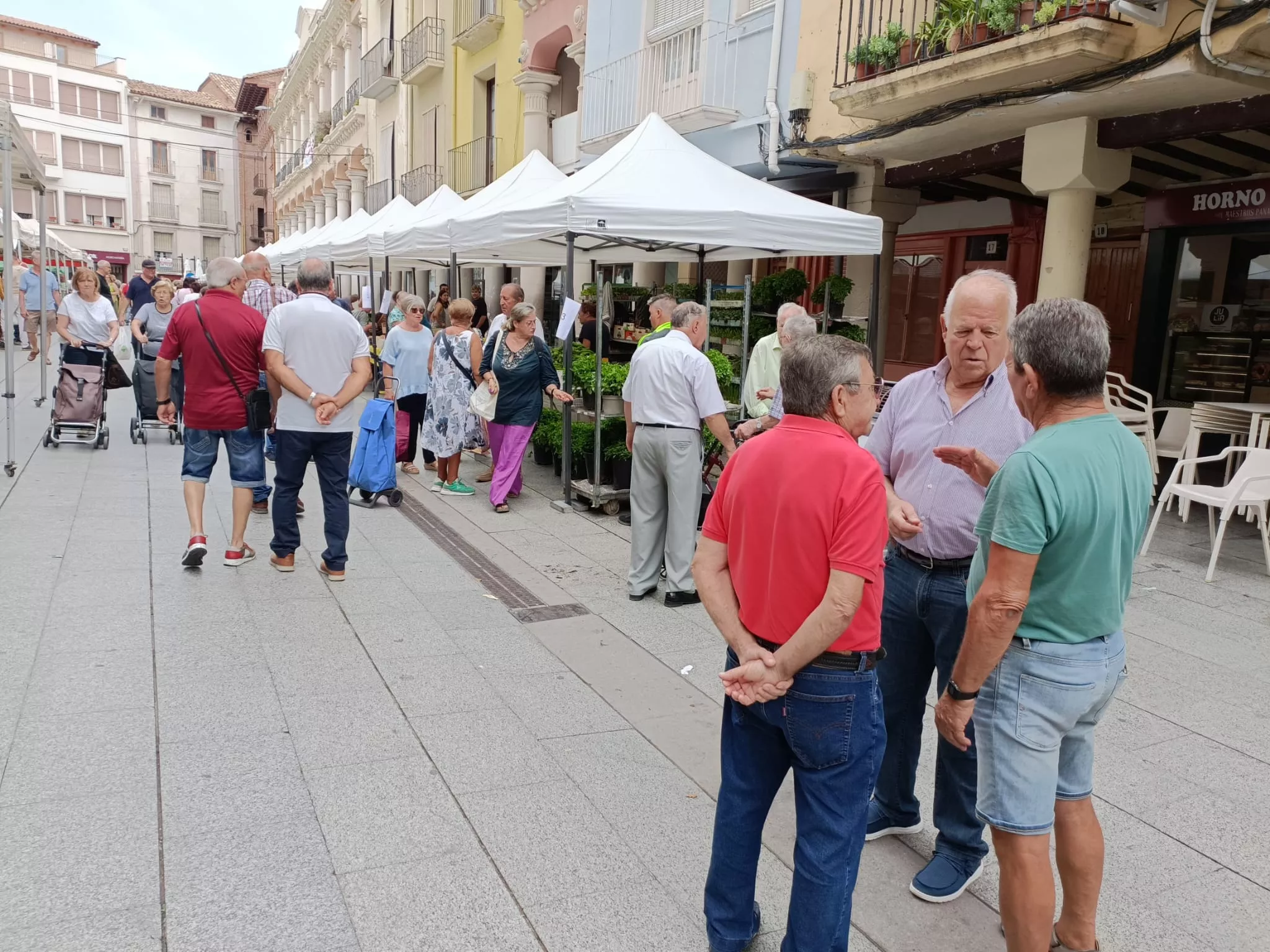 Muestra de Frutas y Hortalizas y los Sábados con Sabor a Barbastro y Somontano