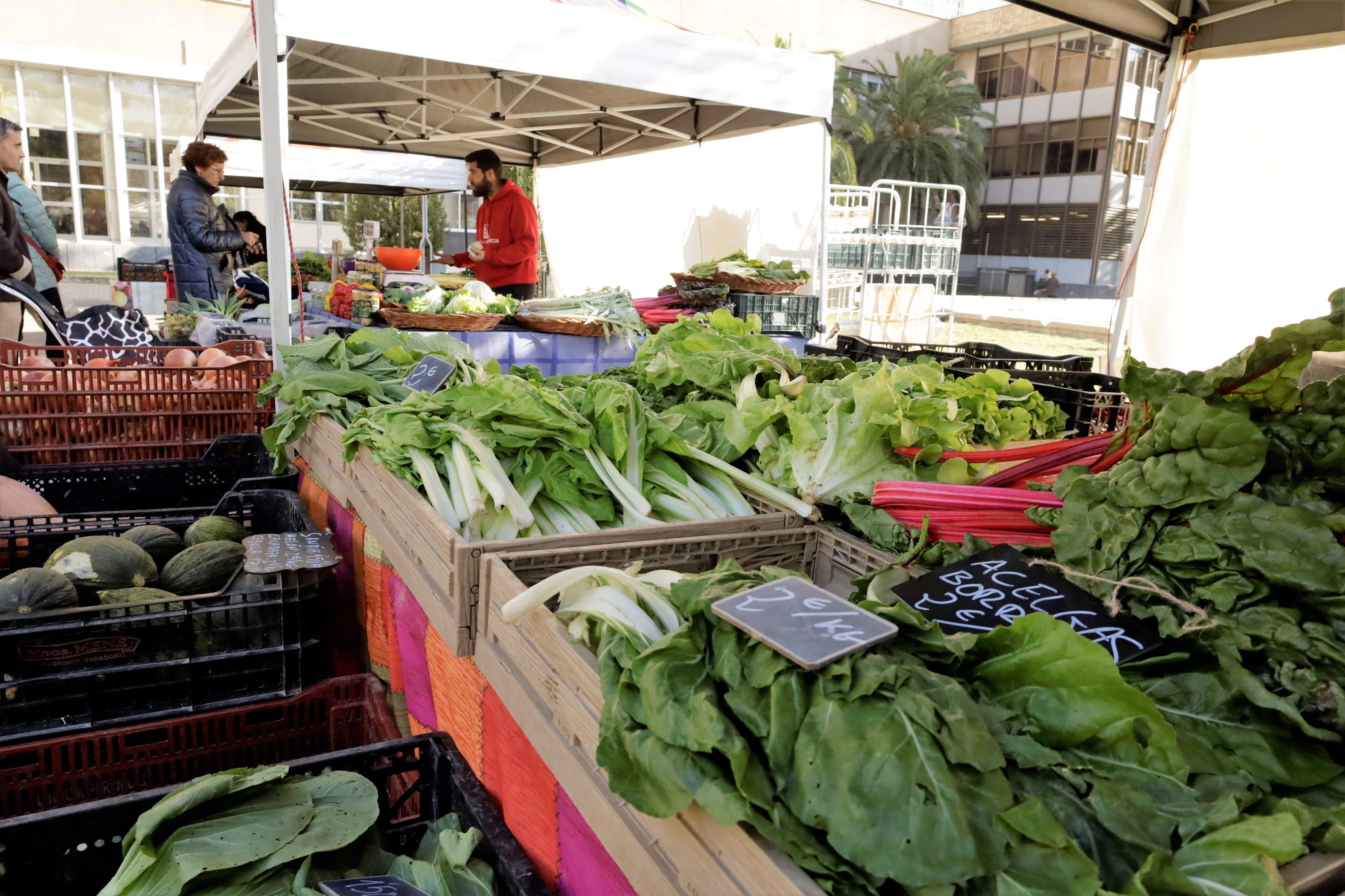 Mercado Agroecologico de la Universidad de Zaragoza