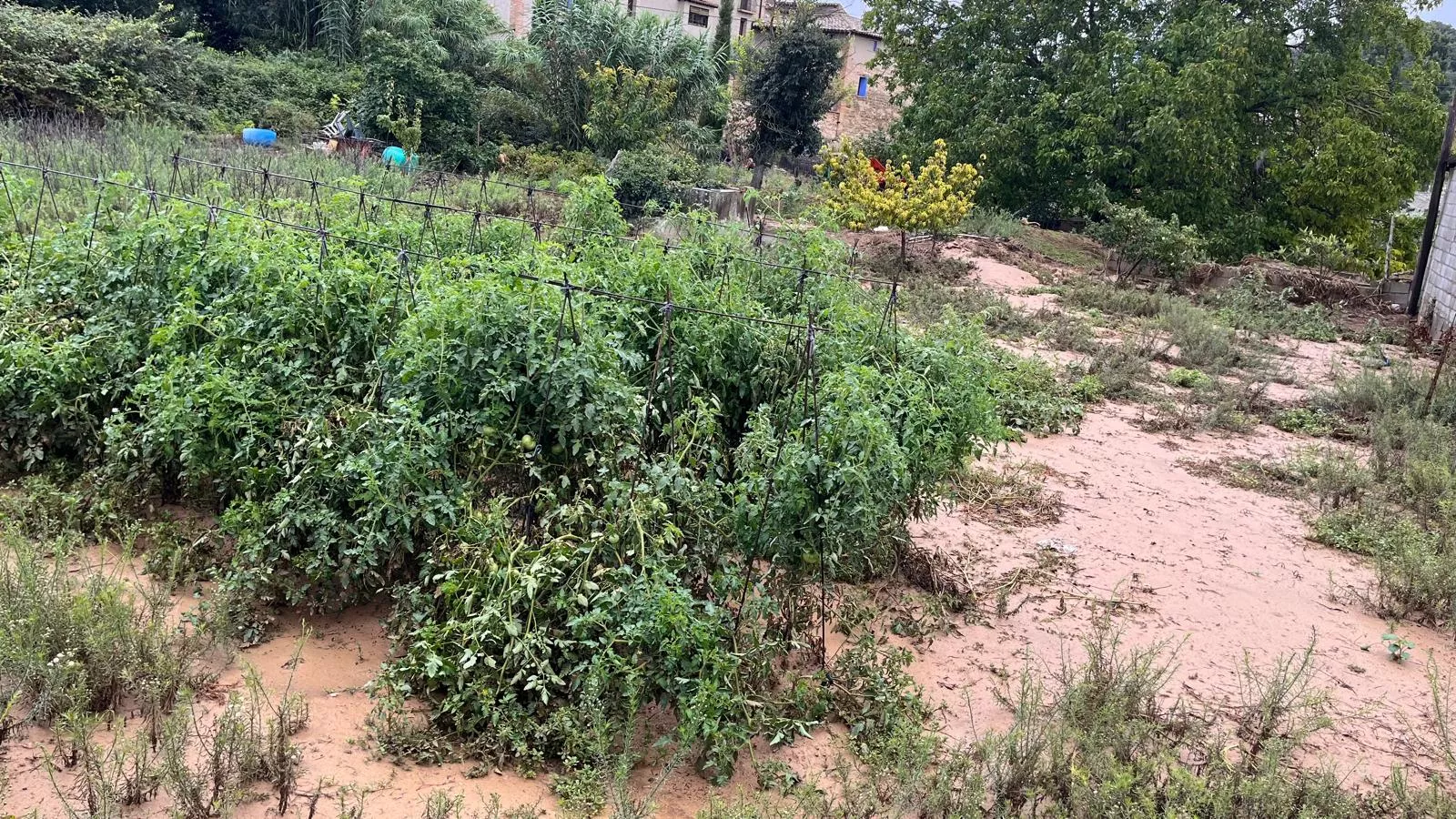 Lascellas tras las fuertes lluvias que han causados serios destrozos. Foto Mercedes Manterola