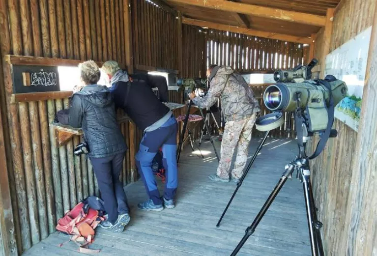 El Centro de Interpretación de la Laguna de Sariñena acogió el año pasado a más de 5.400 personas. El Centro de Interpretación de la Laguna de Sariñena acogió el año pasado a más de 5.400 personas.