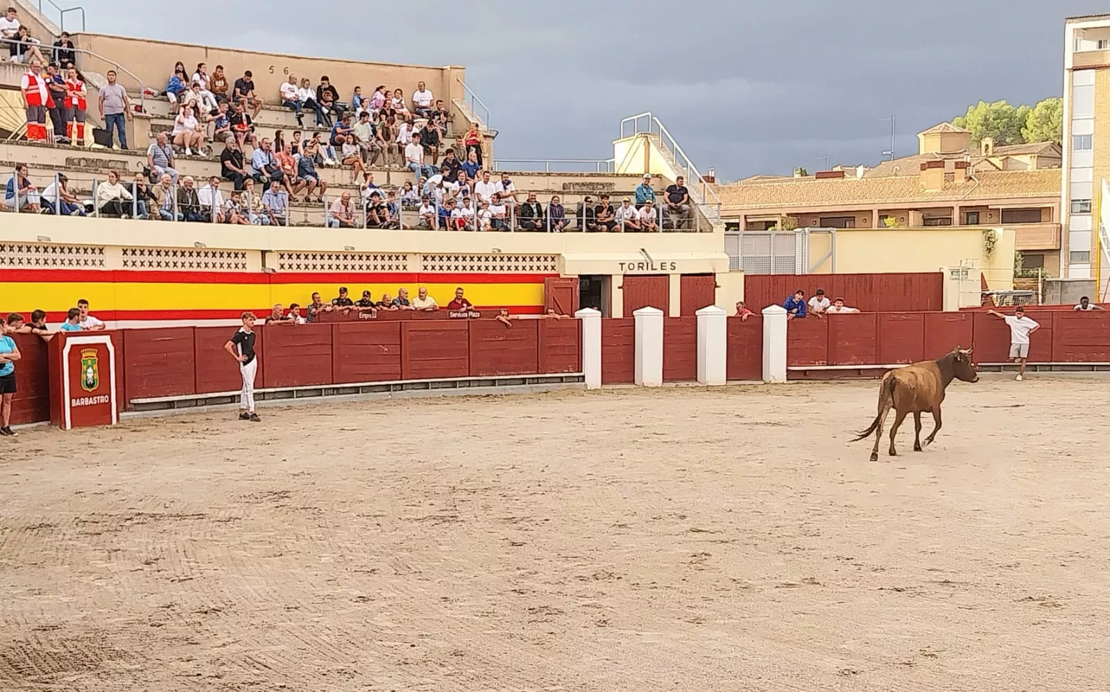 Vaquillas en la Plaza de Toros de Barbastro