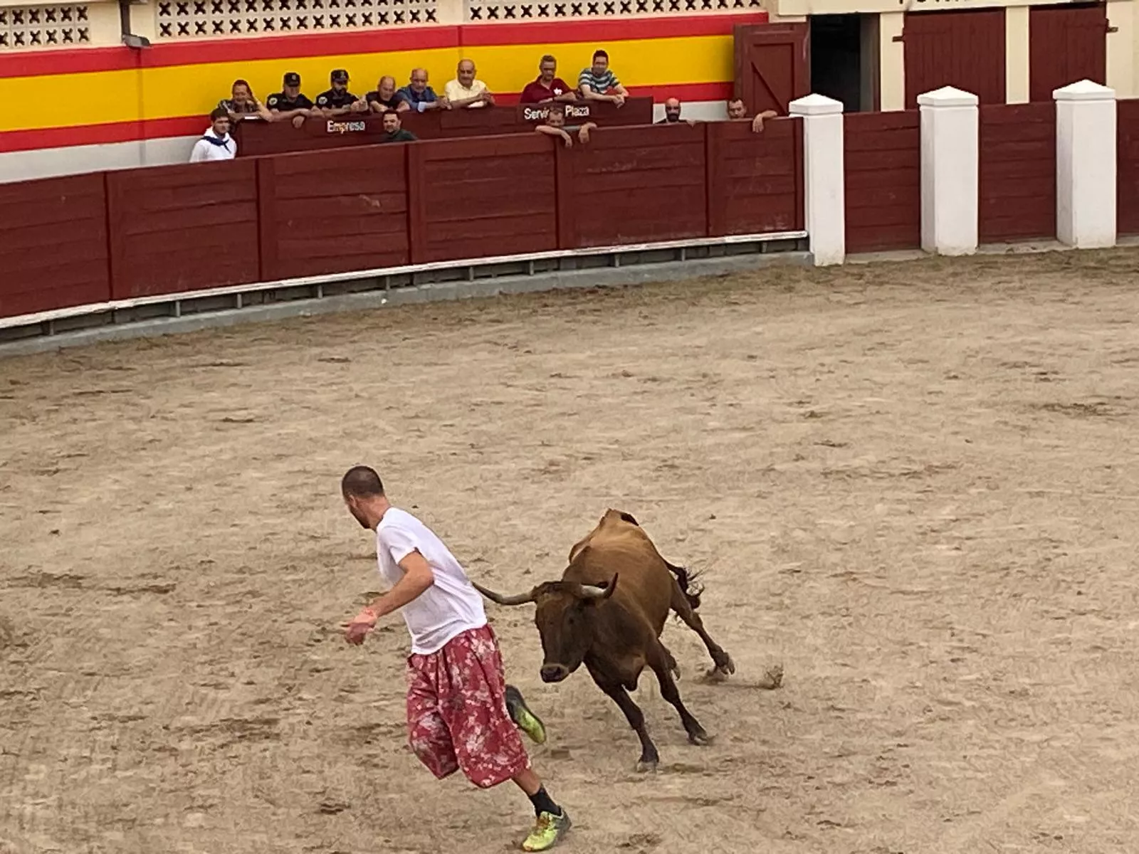 Vaquillas en la Plaza de Toros de Barbastro