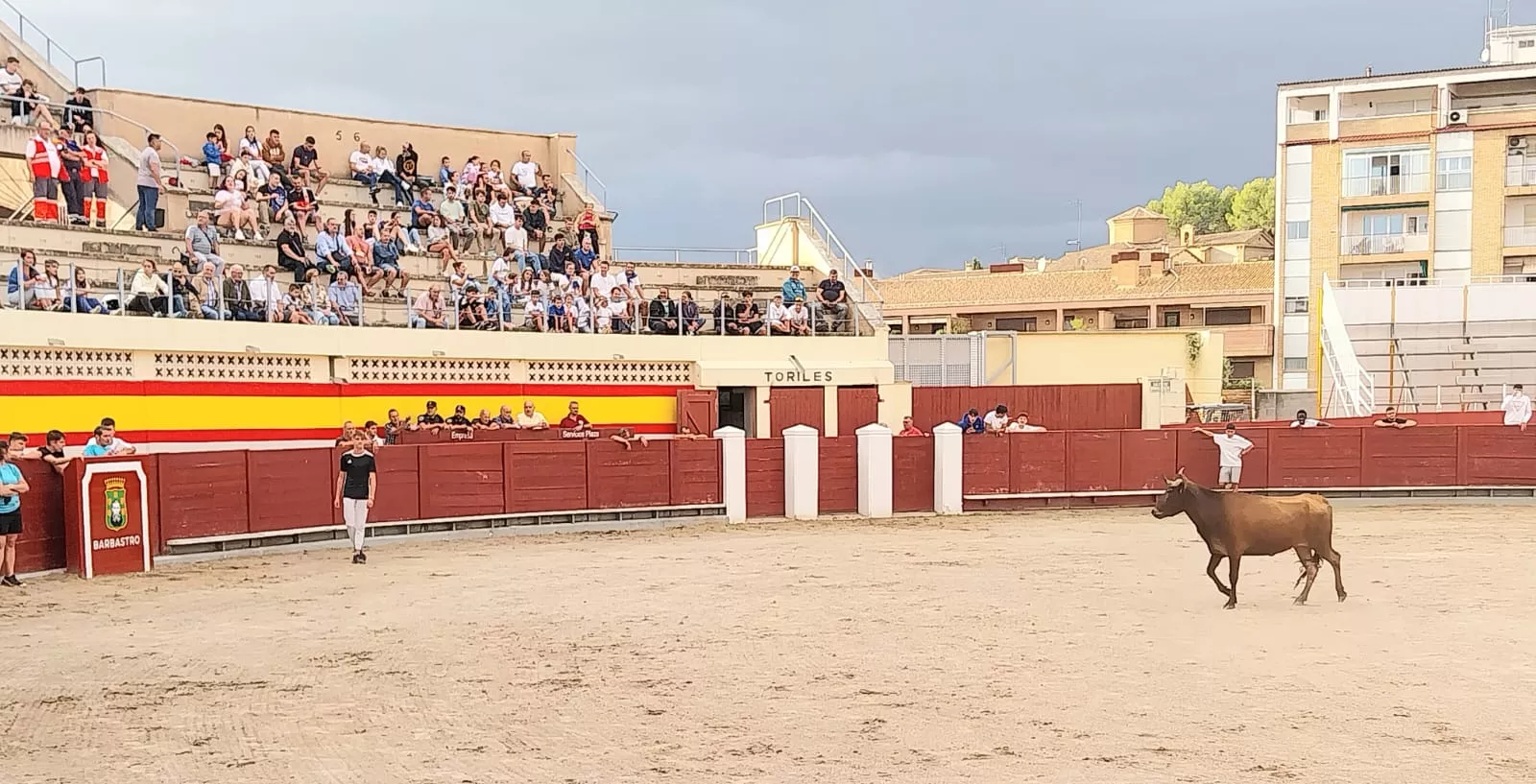 Vaquillas en la Plaza de Toros de Barbastro