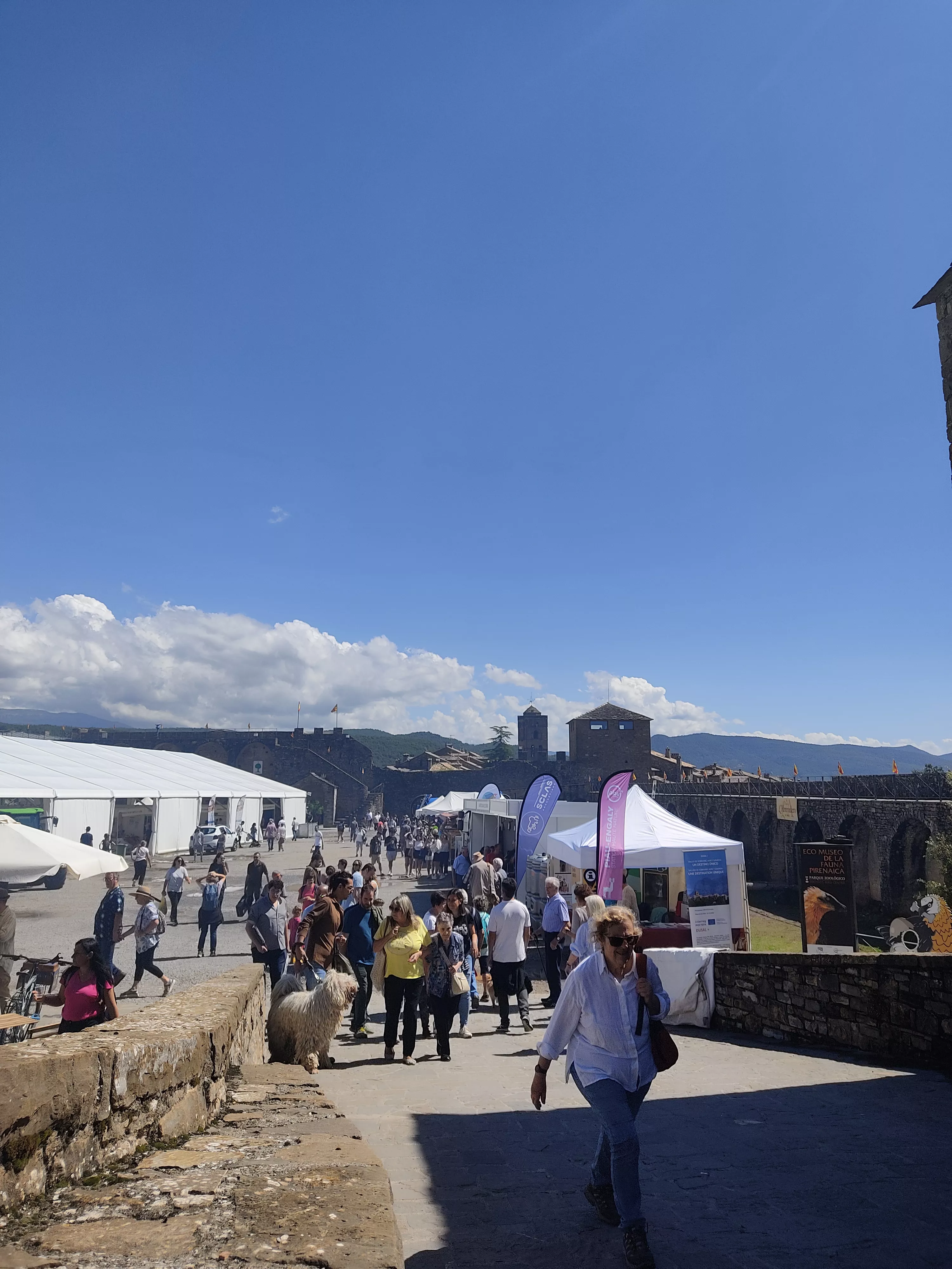 Público en el patio del Castillo