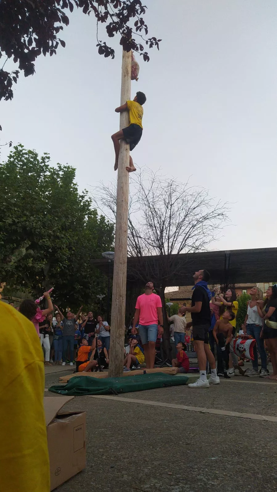 Madero enjabonado, un acto típico de las fiestas de Ayerbe.