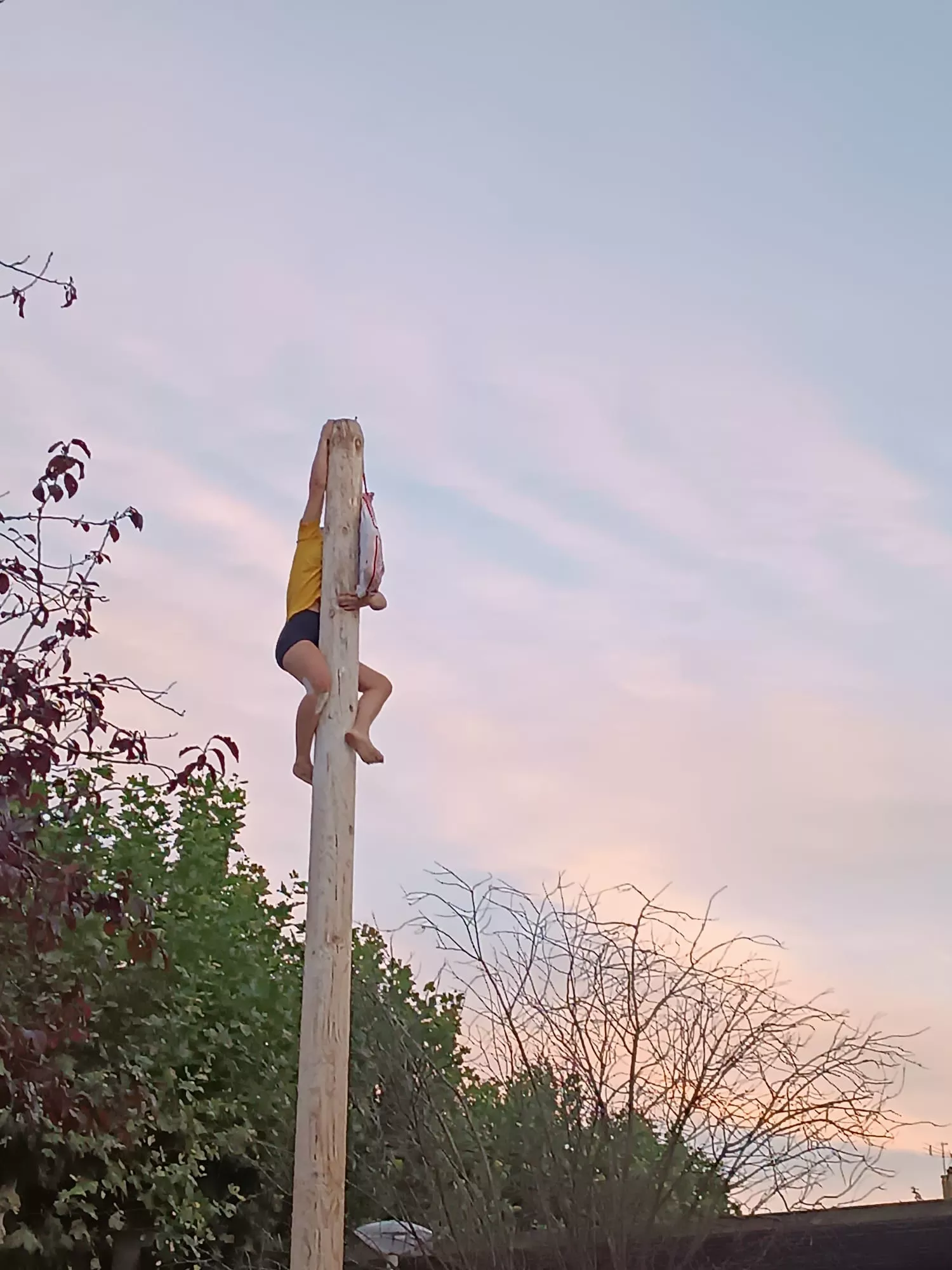Madero enjabonado, un acto típico de las fiestas de Ayerbe.