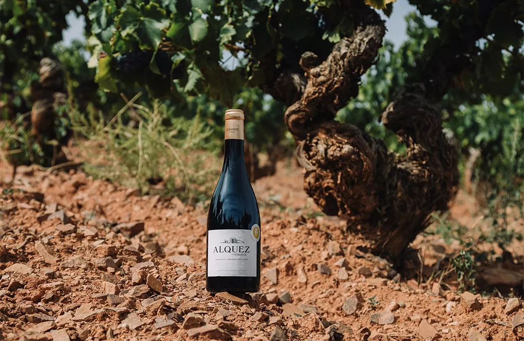 Sommos Garnacha Alquez