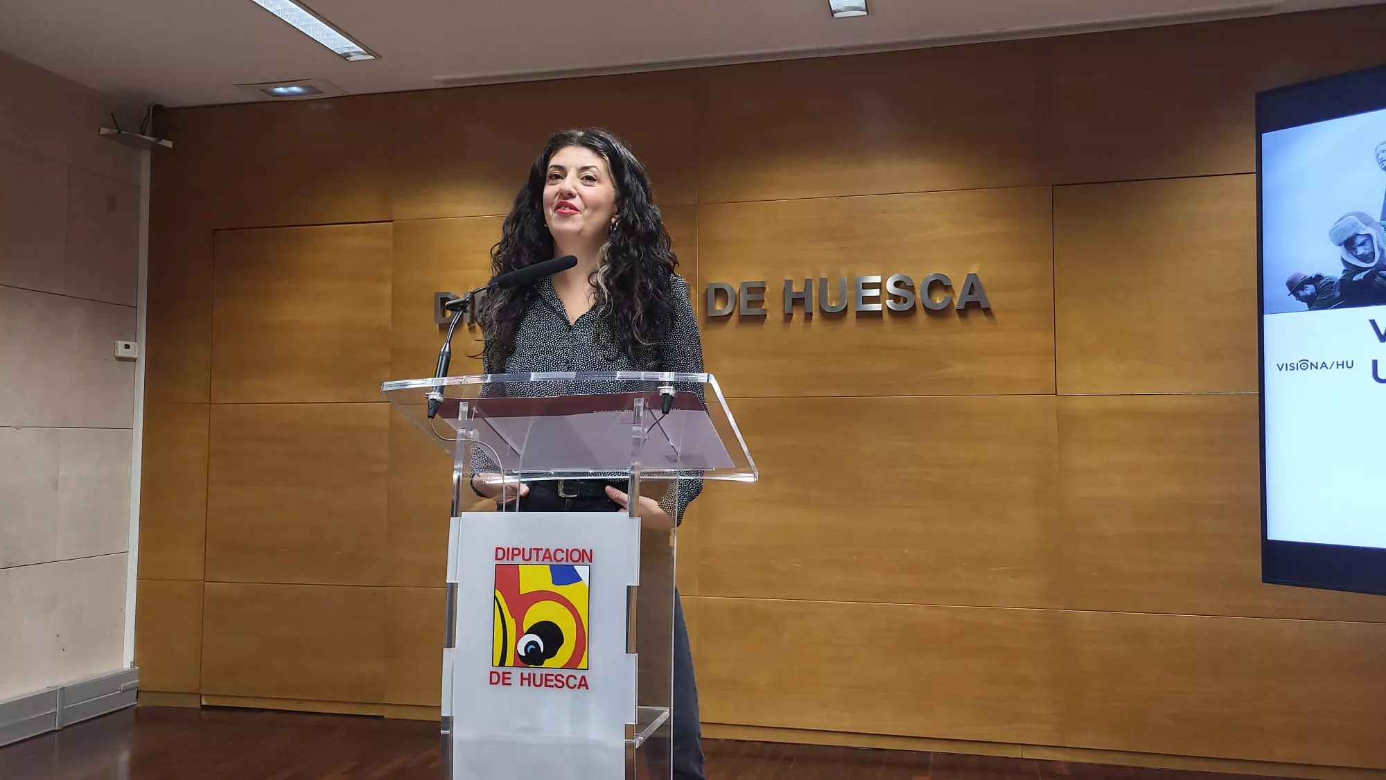 Presentación de Visiona en la Diputación de Huesca