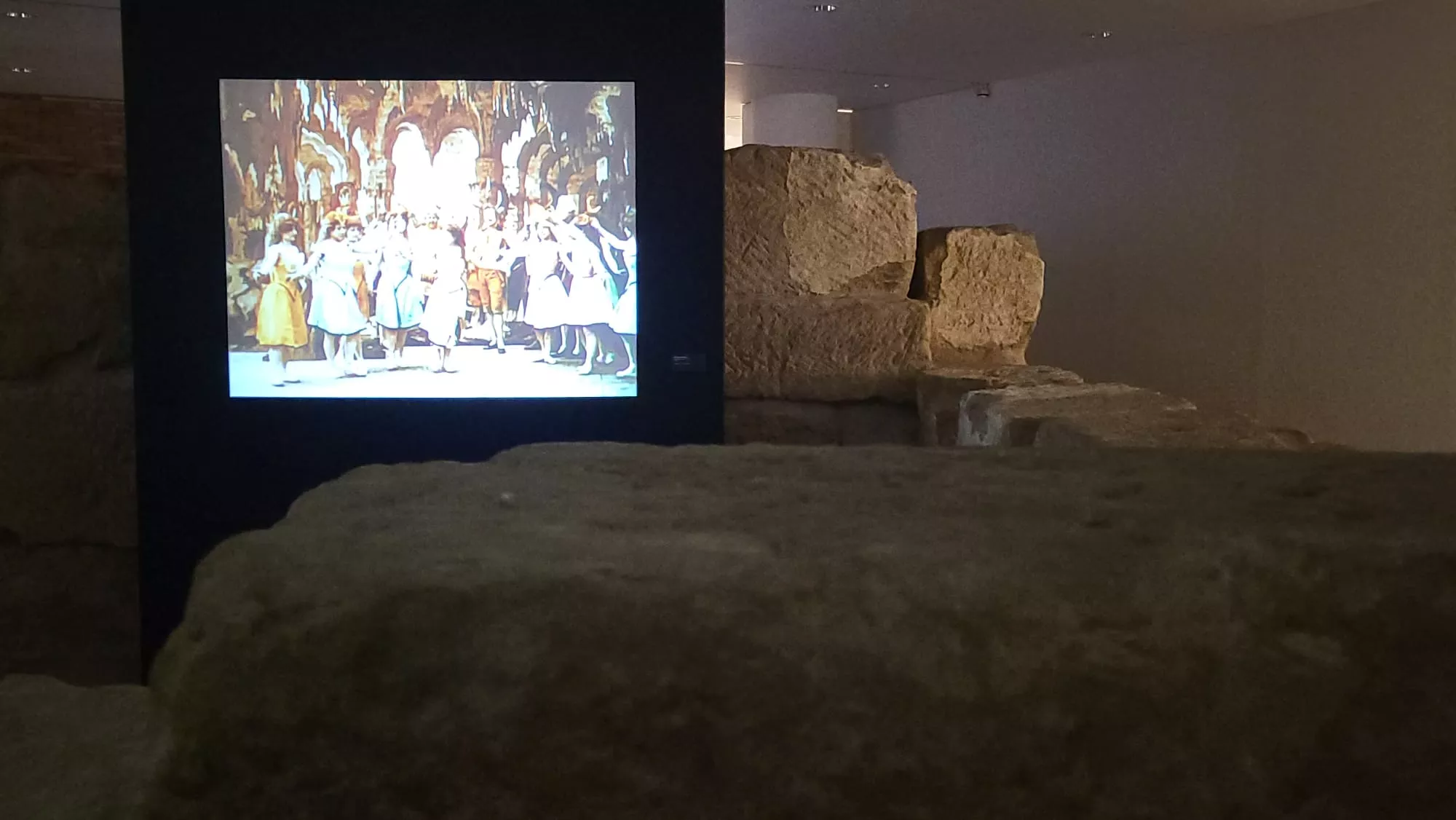 Presentación de Visiona en la Diputación de Huesca