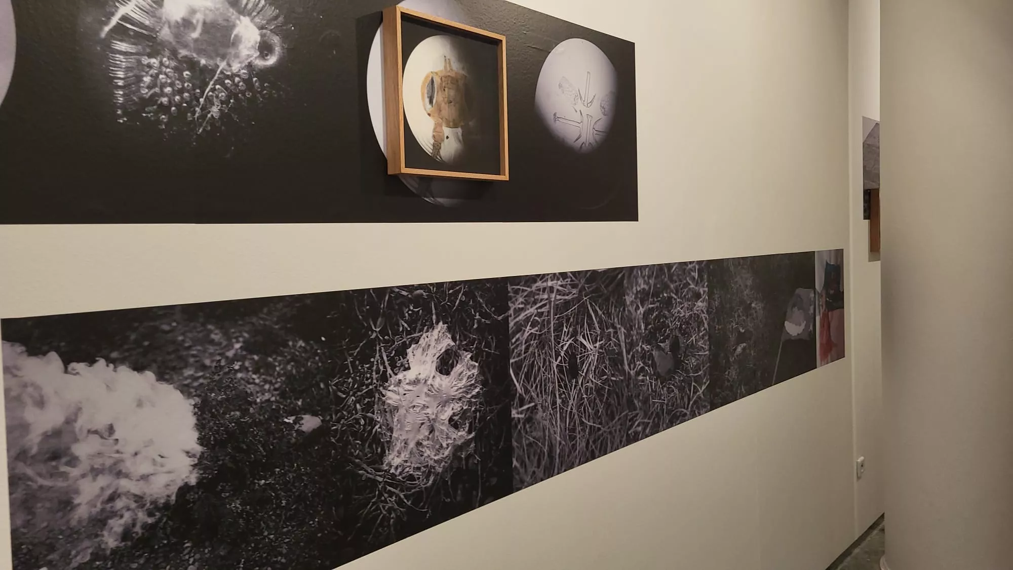 Presentación de Visiona en la Diputación de Huesca