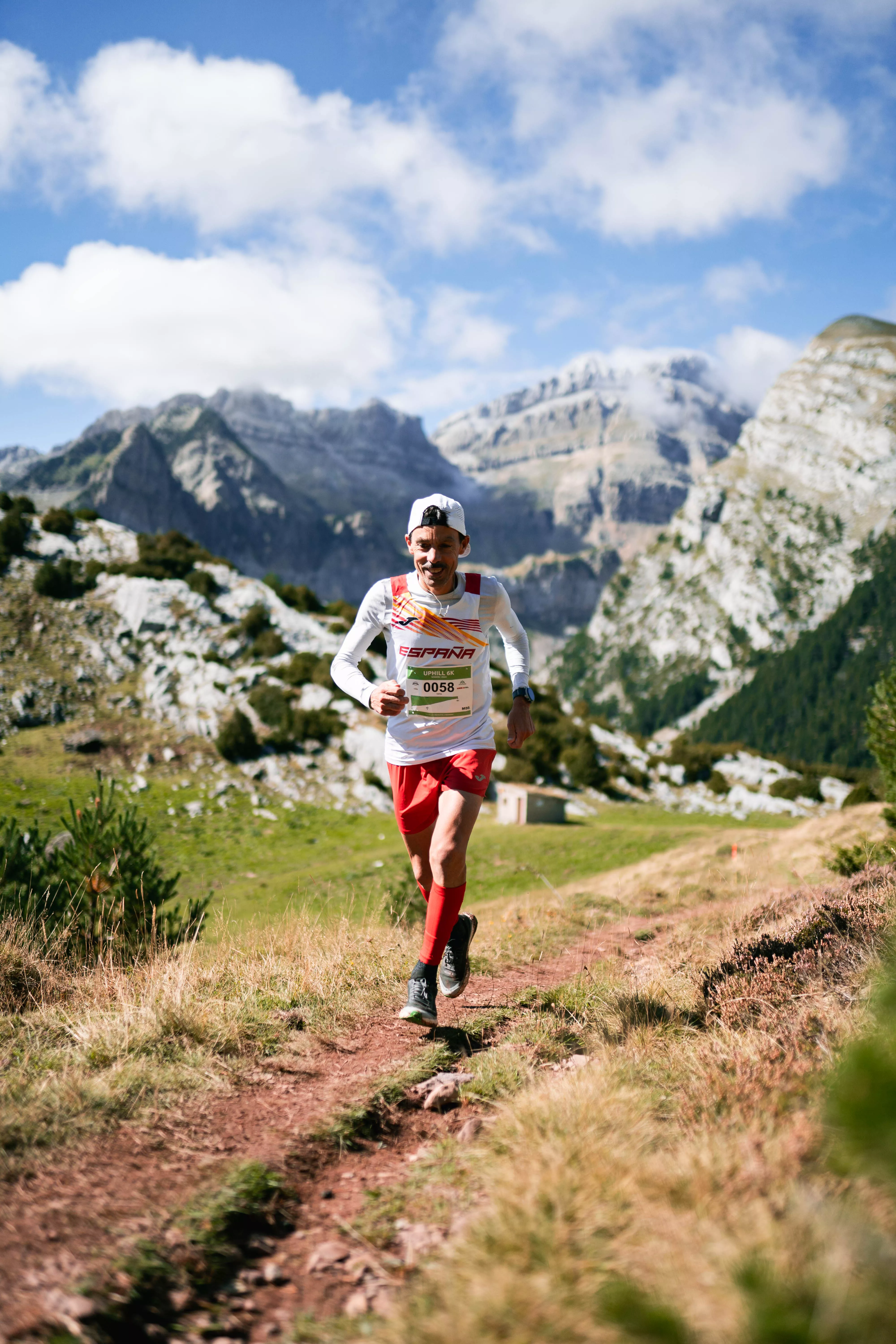 Tofol Castanyer oro M50. Foto Yhabril