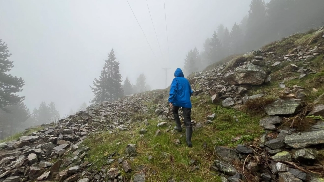 El trabajo de campo se inició en marzo de 2024. El trabajo de campo se inició en marzo de 2024.