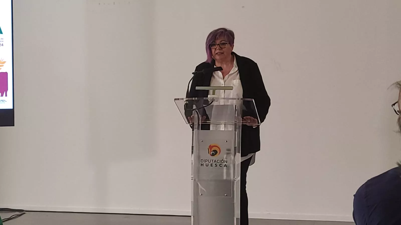 Presentación de la 38 edición de Femoga en Sariñena