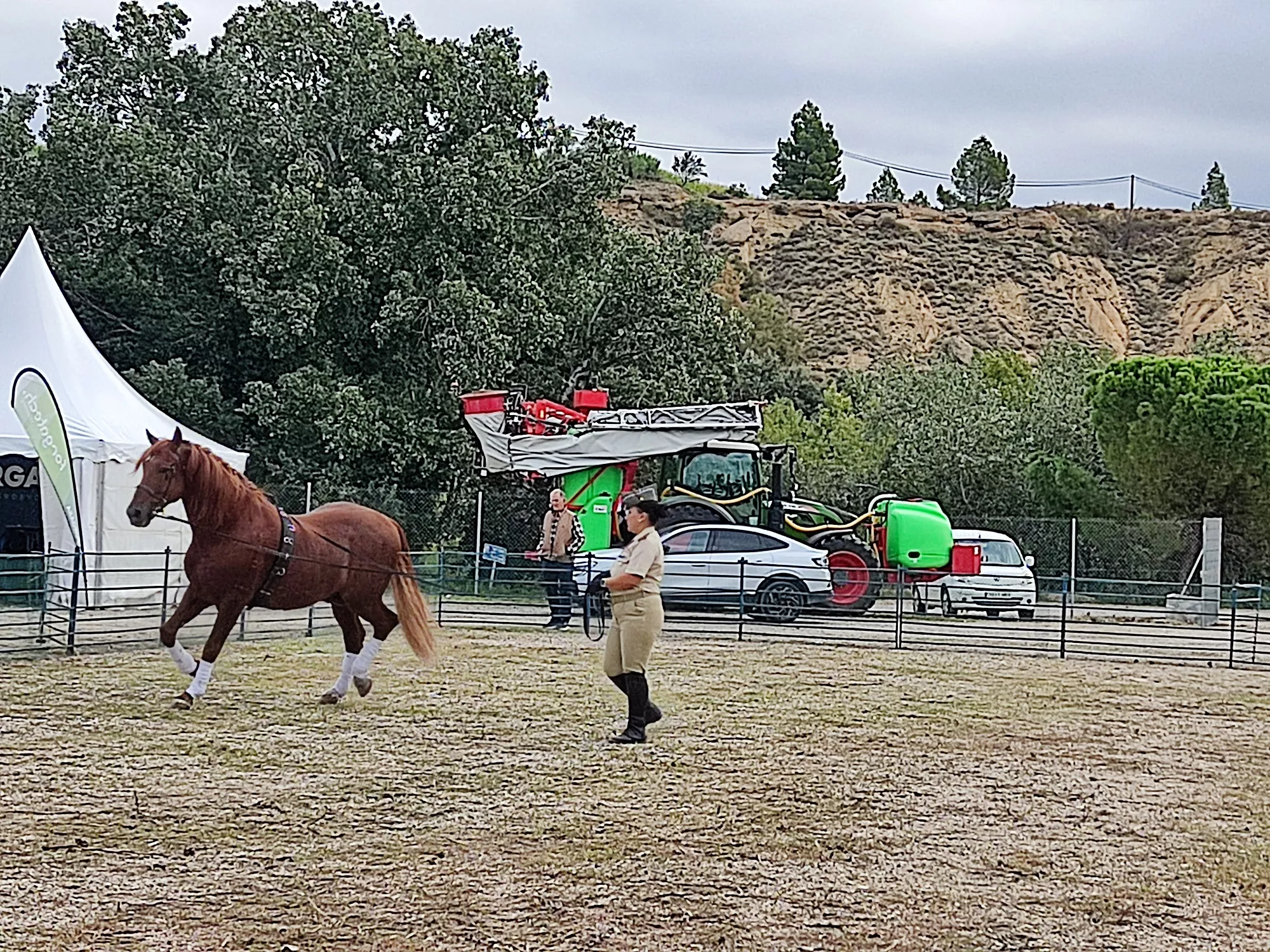 Inauguración de la 38 edición de Femoga