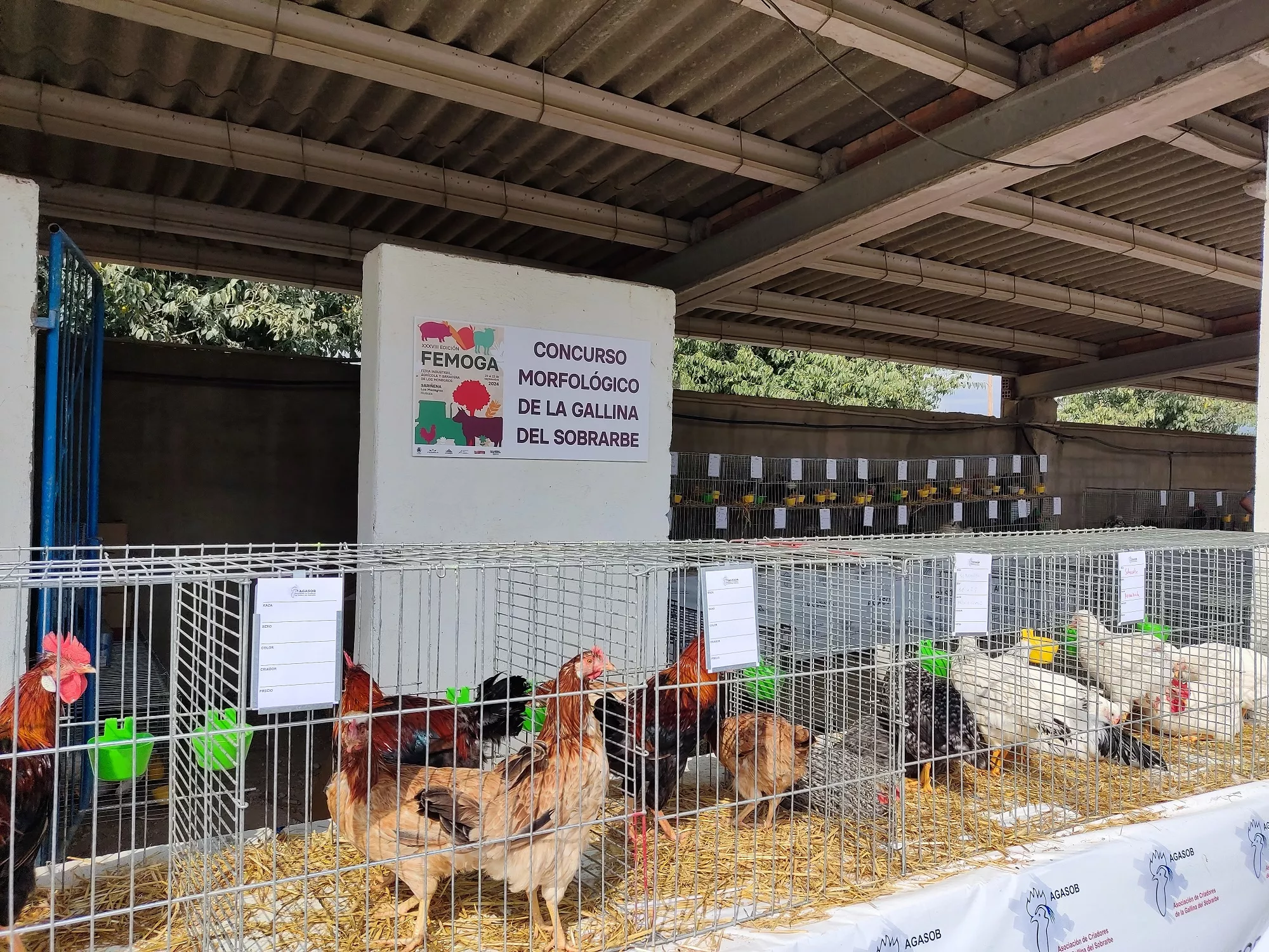 Inauguración de la 38 edición de Femoga