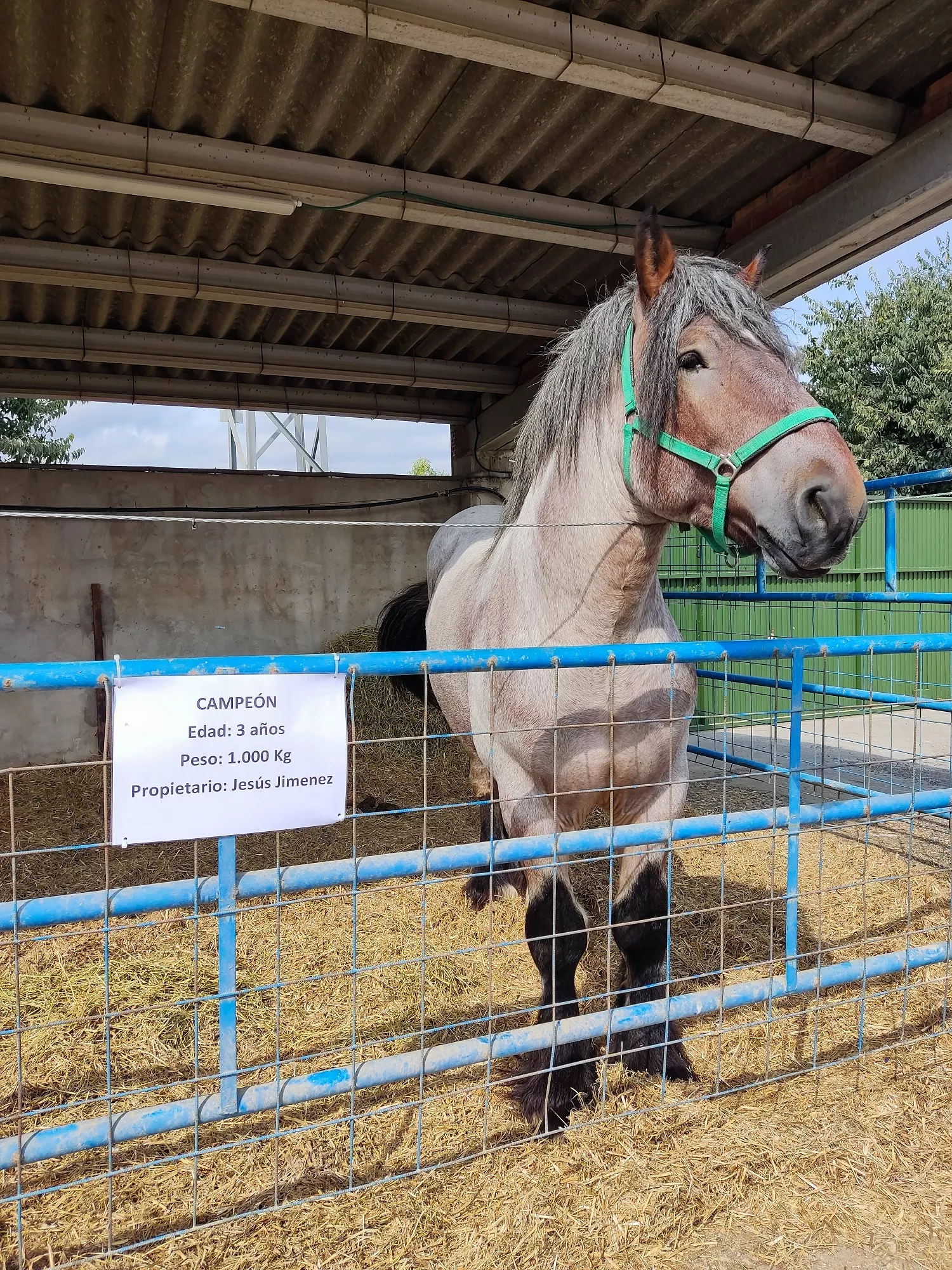 Inauguración de la 38 edición de Femoga