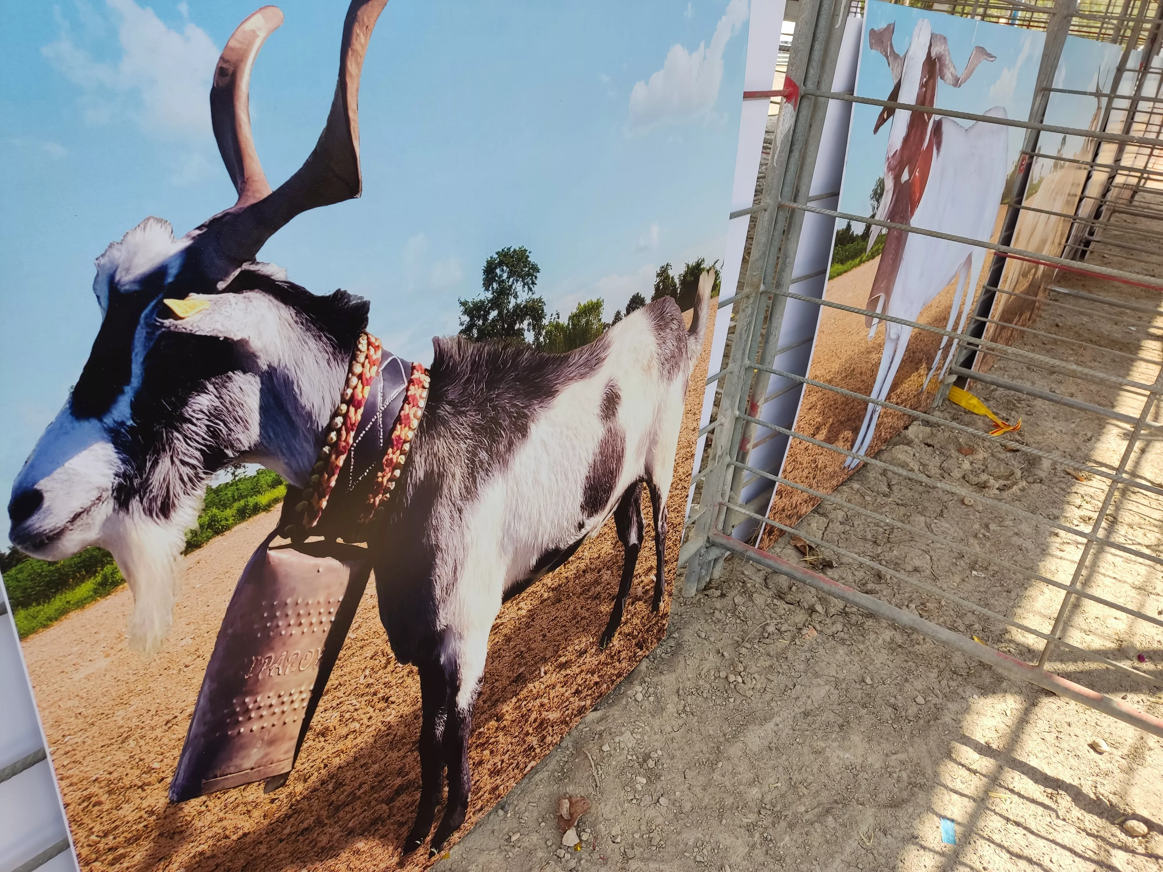 Inauguración de la 38 edición de Femoga