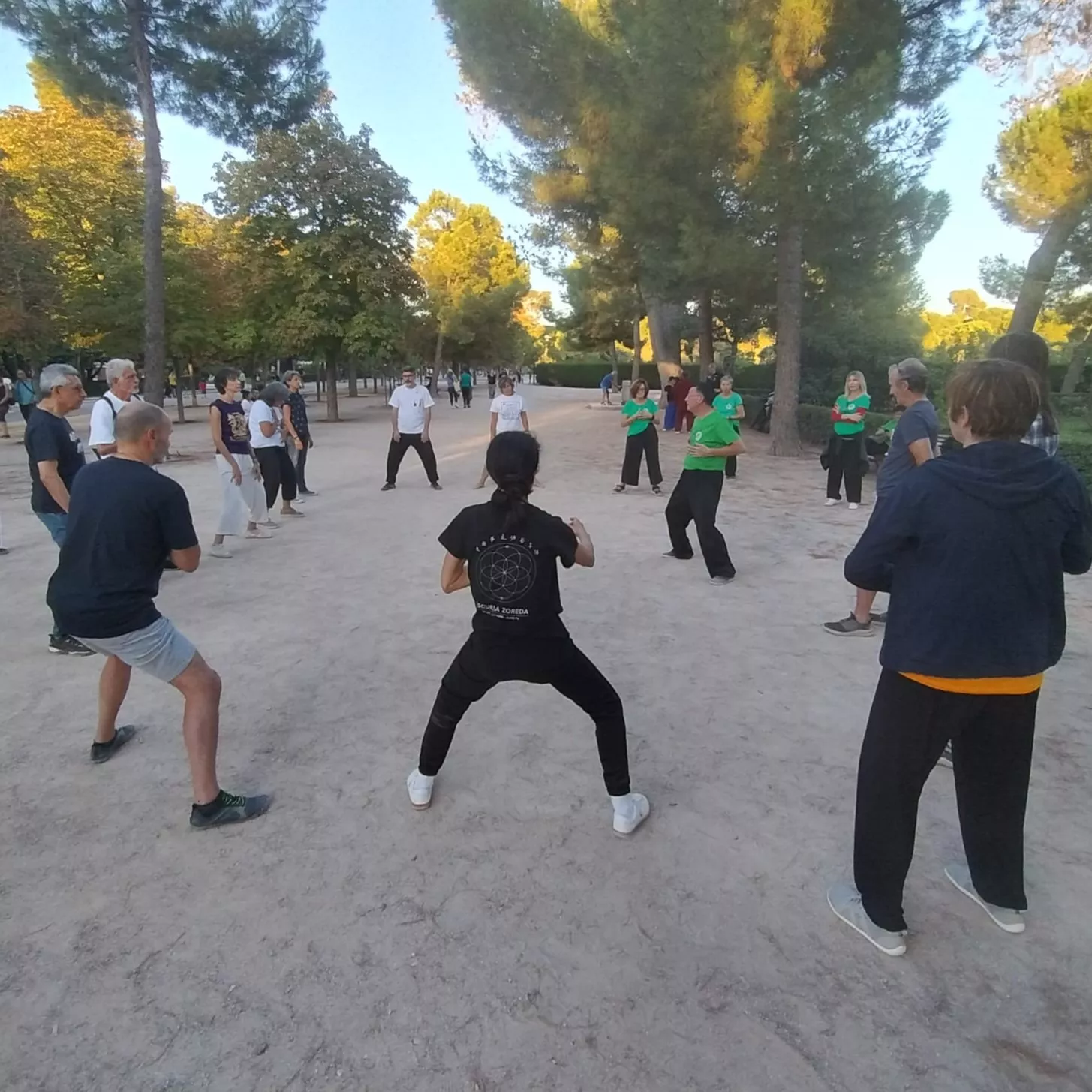 La Escuela de Tai chi Huesca, en la 20 edición del Encuentro de Tai Chi Chuan de Madrid.