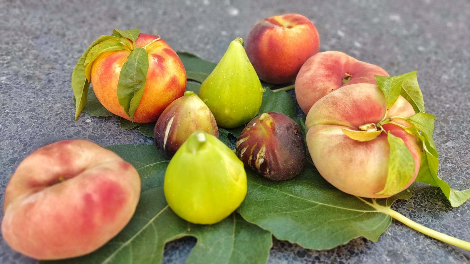 Las frutas, patrimonio de Fraga.