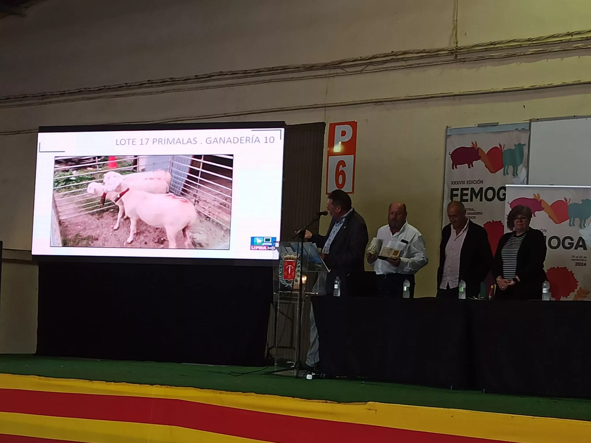 Segunda jornada de Femoga pasada por agua