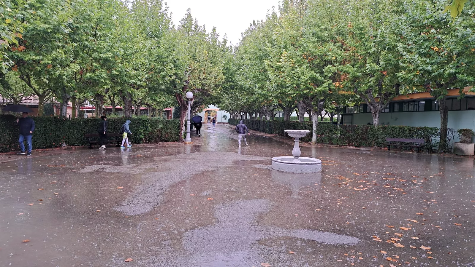 Imágenes del Complejo Deportivo de San Jorge, afectado por el agua de lluvia
