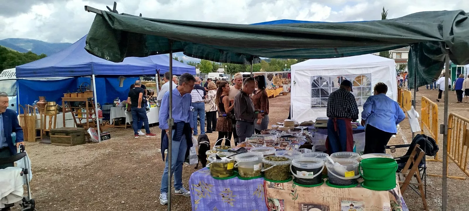La  Feria de Alternativas Rurales del Prepirineo de Ayerbe celebra su XXVIII edición.