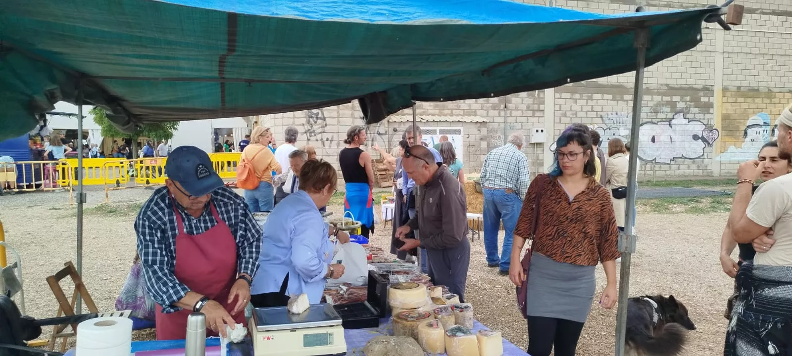 La  Feria de Alternativas Rurales del Prepirineo de Ayerbe celebra su XXVIII edición.