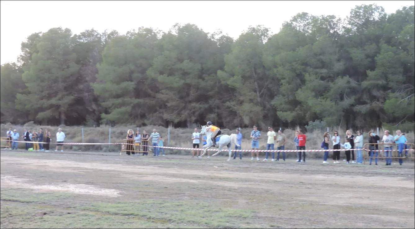 Desafío. Elena Varona y Cupido veloces en busca del triunfo