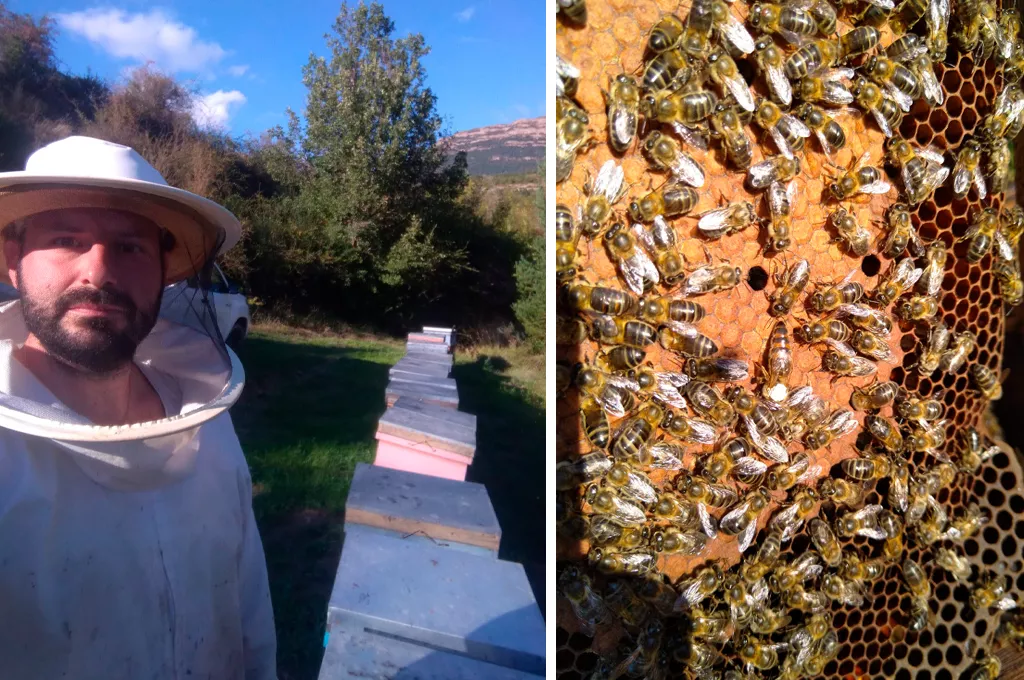 Apicultor de Huesca.
