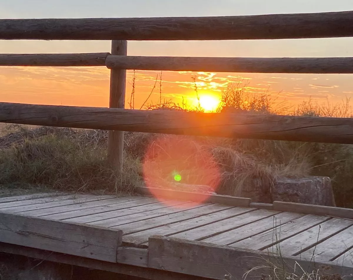 Un horizonte incierto y convulso