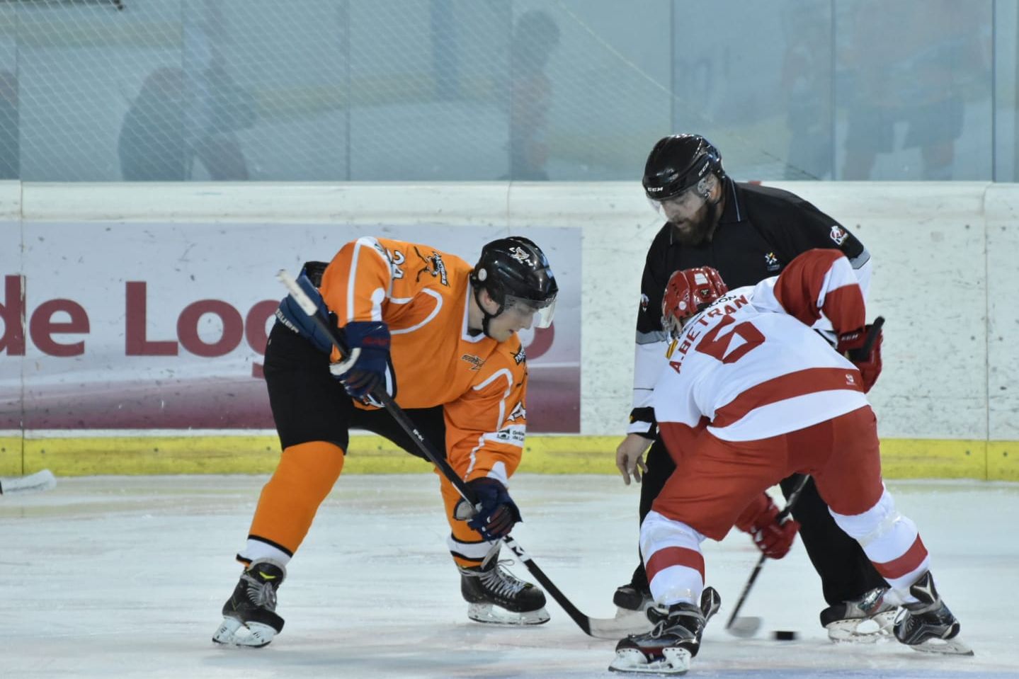 El Club Hielo Jaca ha vencido en Logroño. FOTO: MILENIO CLUB PATÍN