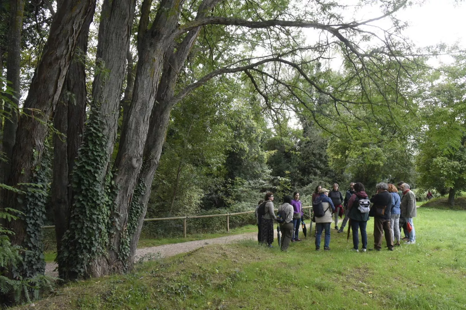Paseo Río Isuela. Foto Javier Blasco