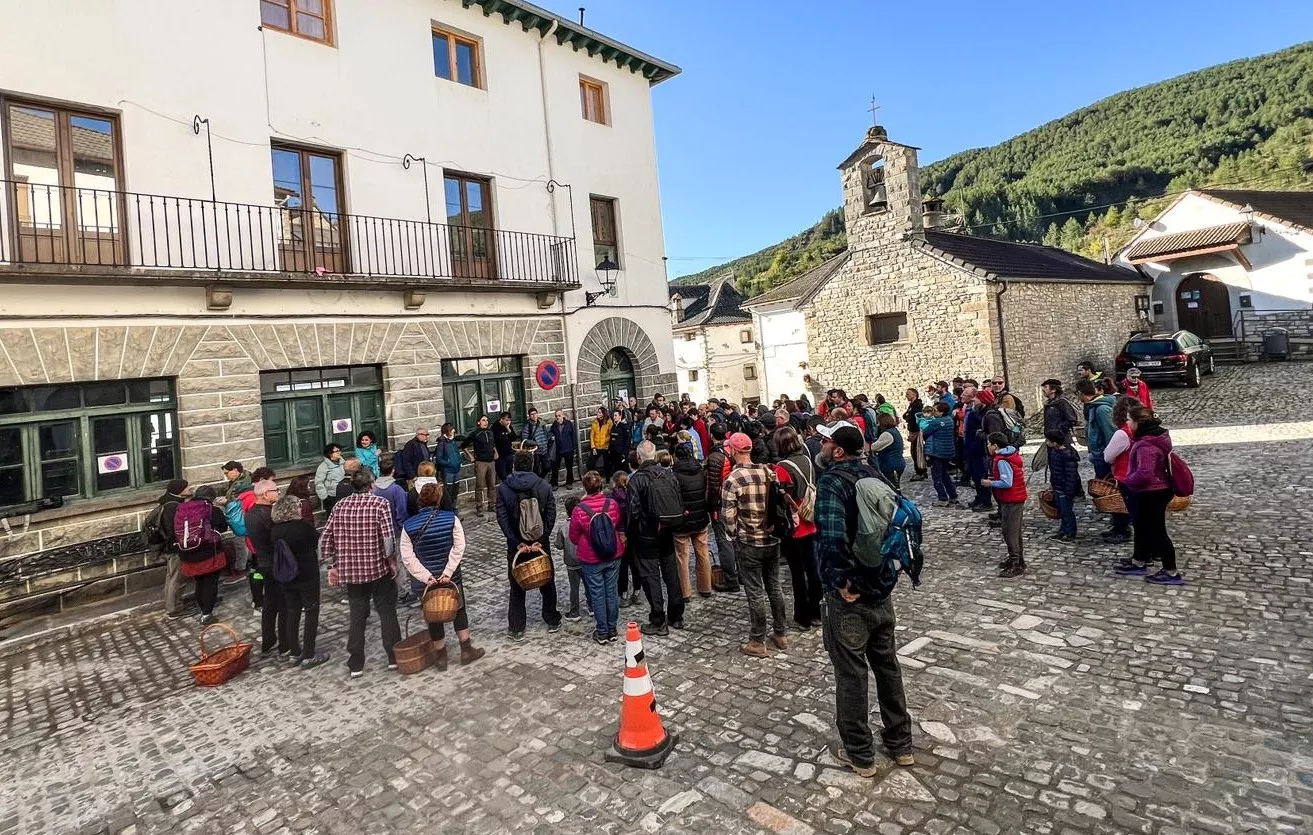 Actividades de las XIII Jornadas Micológicas y Ambientales de Borau.