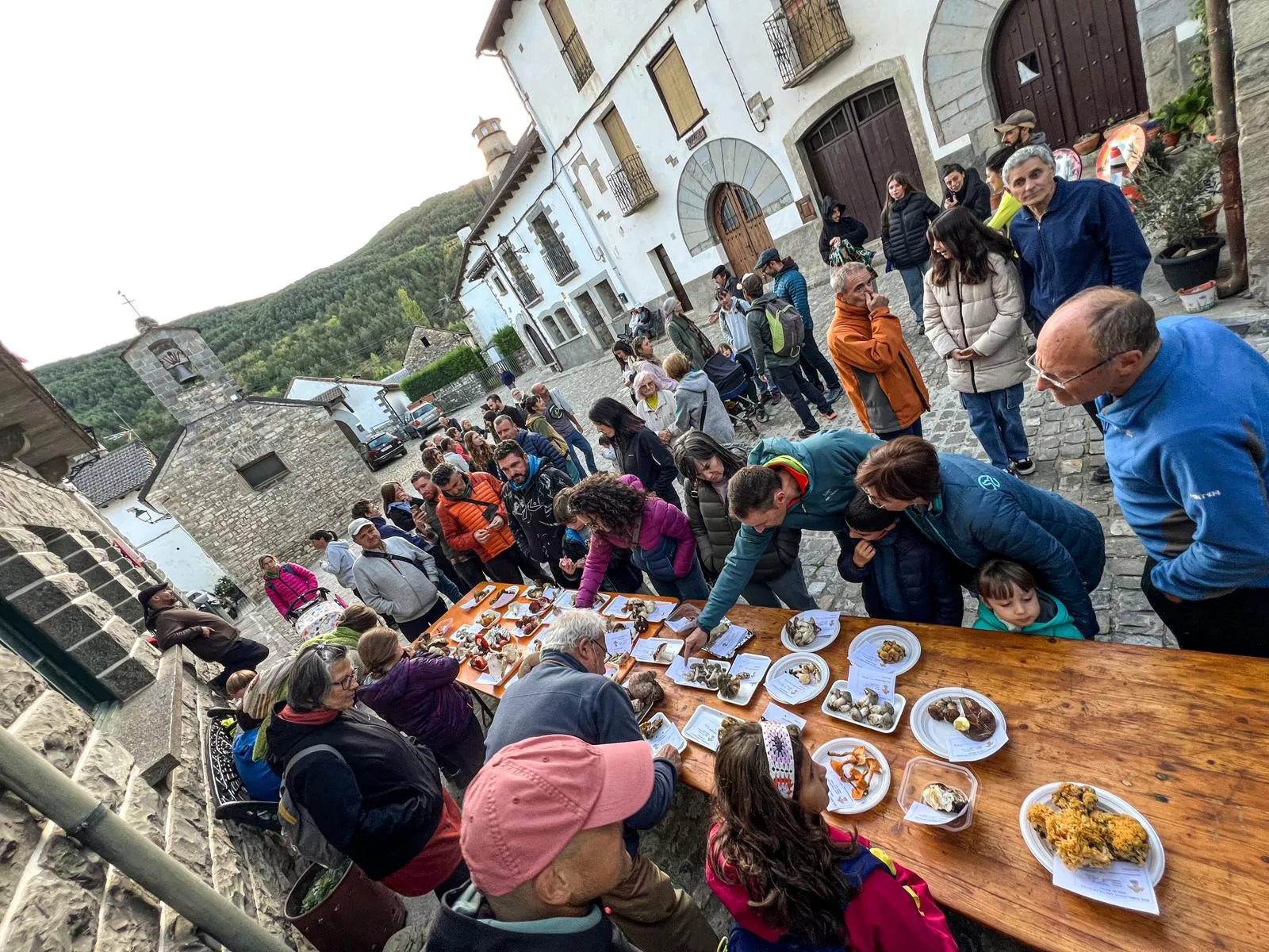 Actividades de las XIII Jornadas Micológicas y Ambientales de Borau.
