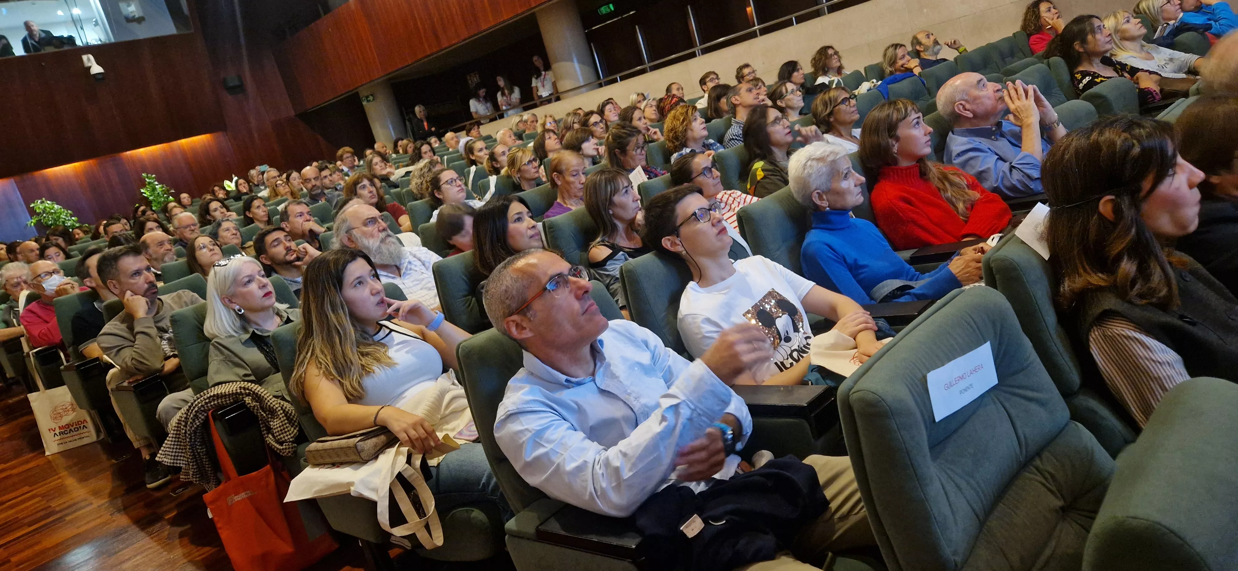 El salón de actos de la DPH se encontraba práctiacamente lleno ya en el inicio de la IV Movida Arcadia. Foto Myriam Martínez