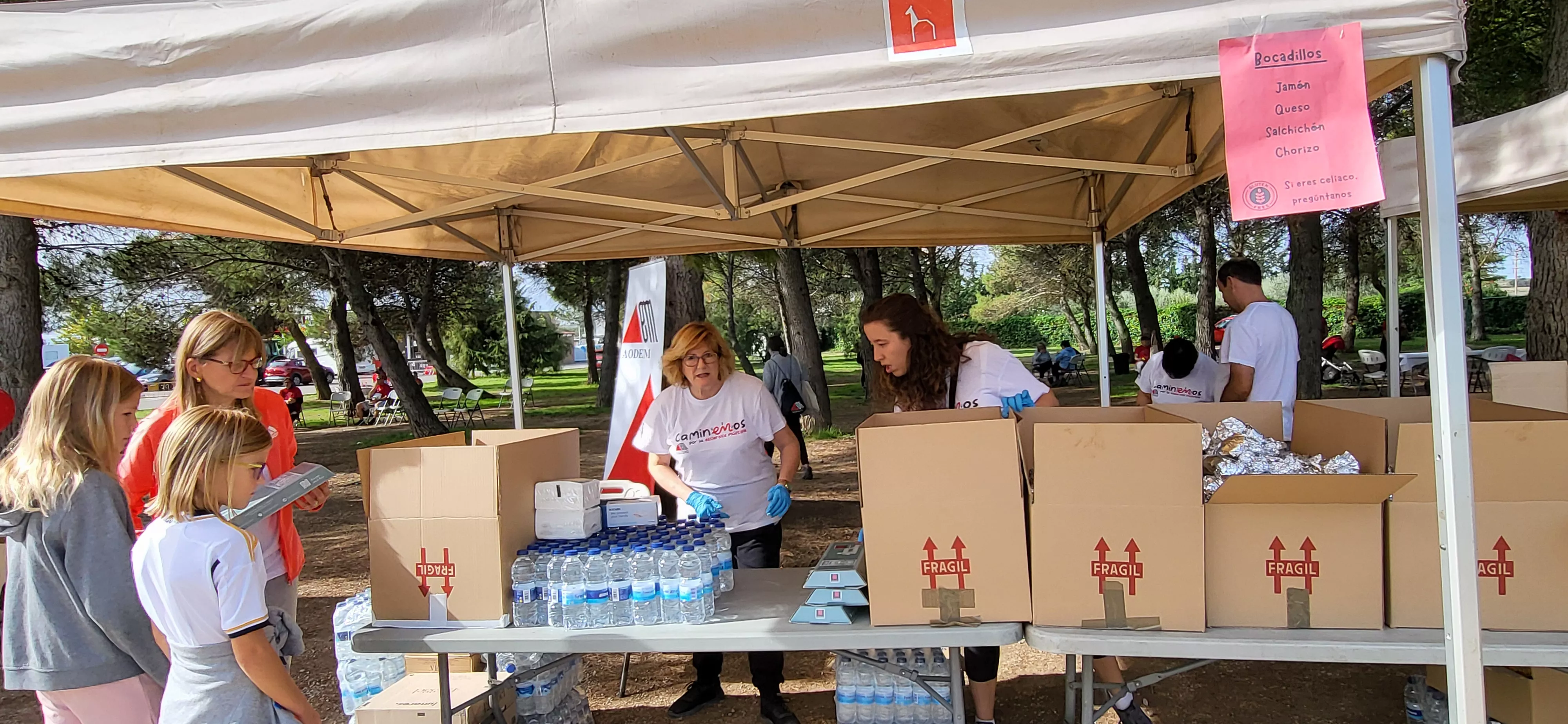 Segunda Marcha Solidaria por la Esclerosis Múltiple de Aodem. Foto Mercedes Manterola
