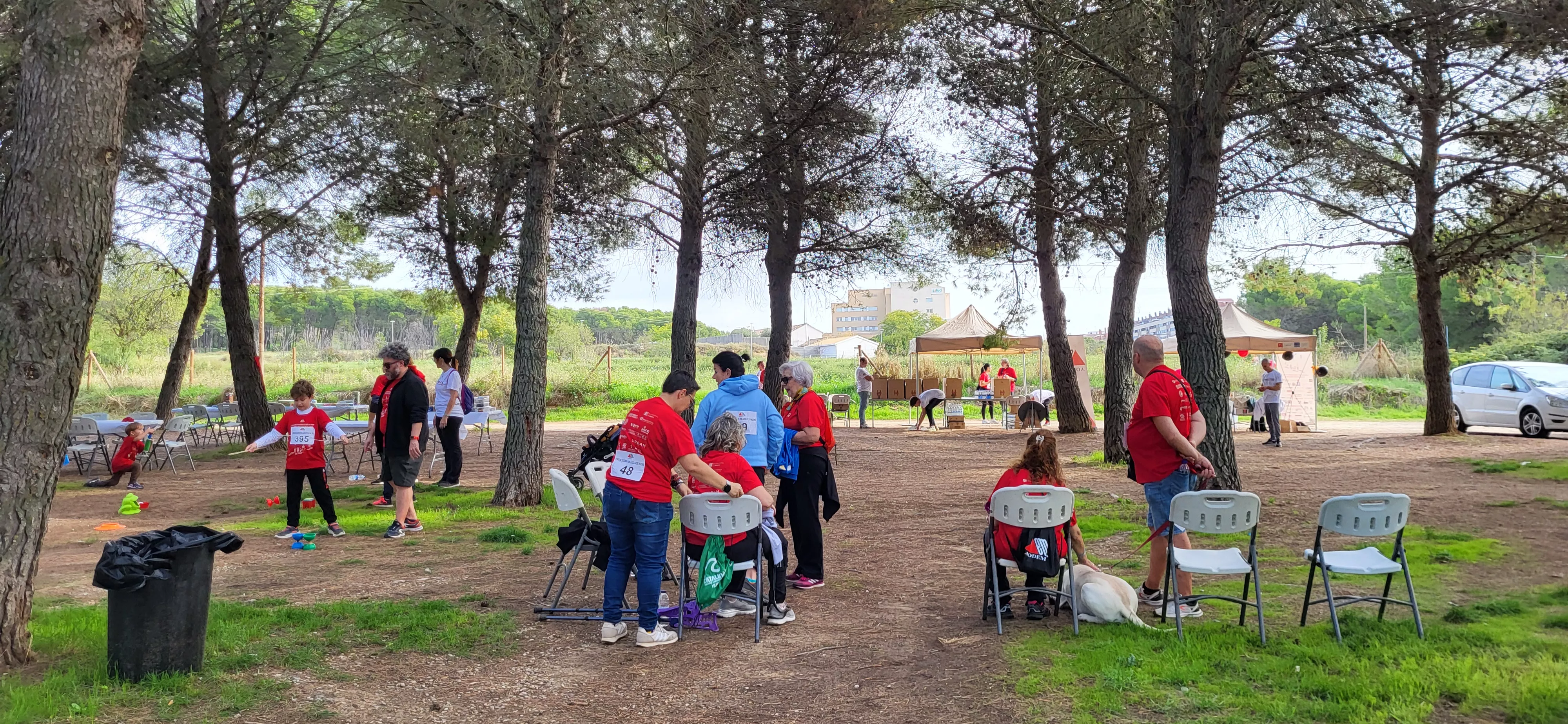 Segunda Marcha Solidaria por la Esclerosis Múltiple de Aodem. Foto Mercedes Manterola