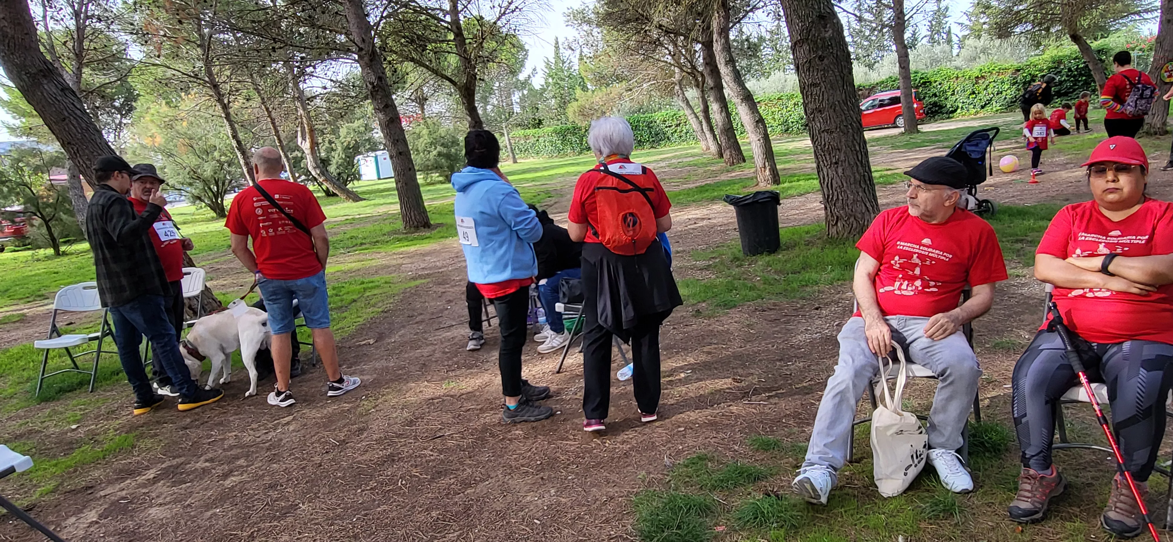Segunda Marcha Solidaria por la Esclerosis Múltiple de Aodem. Foto Mercedes Manterola