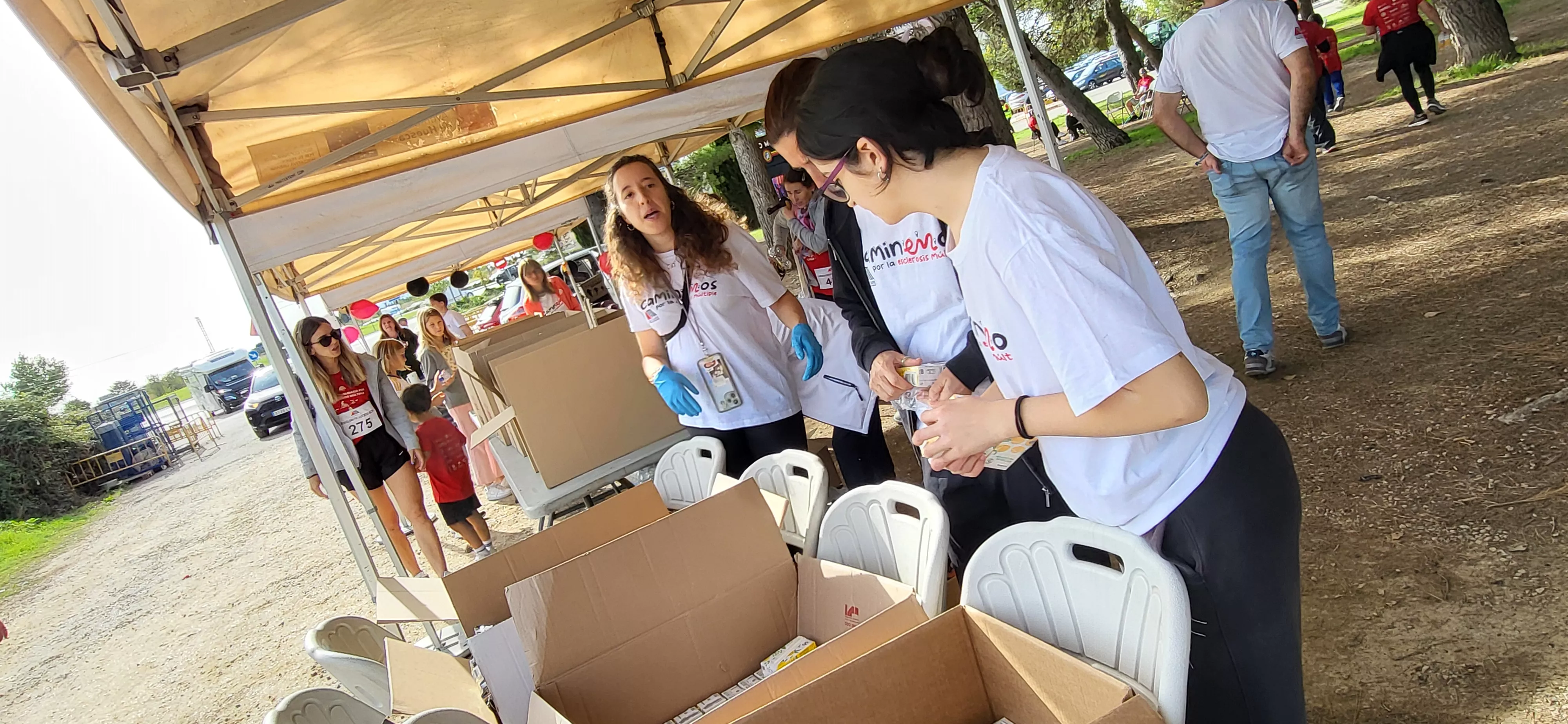 Segunda Marcha Solidaria por la Esclerosis Múltiple de Aodem. Foto Mercedes Manterola