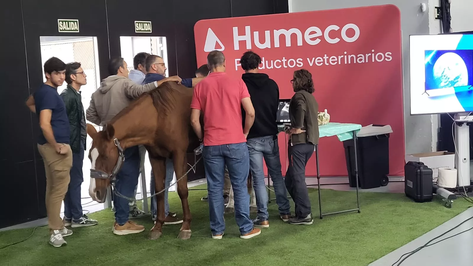Jaque-Mate, curso de Humeco para veterinarios impartido por el doctor Jaramillo