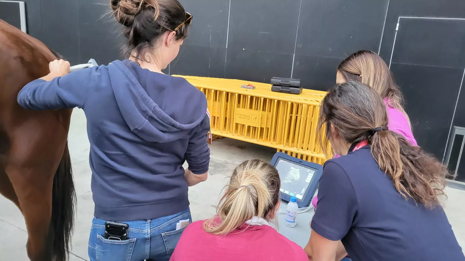 Jaque-Mate, curso de Humeco para veterinarios impartido por el doctor Jaramillo