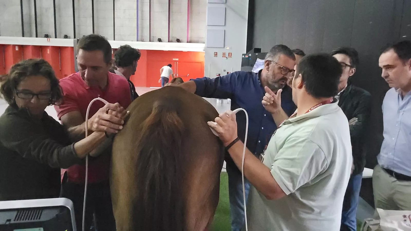 Jaque-Mate, curso de Humeco para veterinarios impartido por el doctor Jaramillo