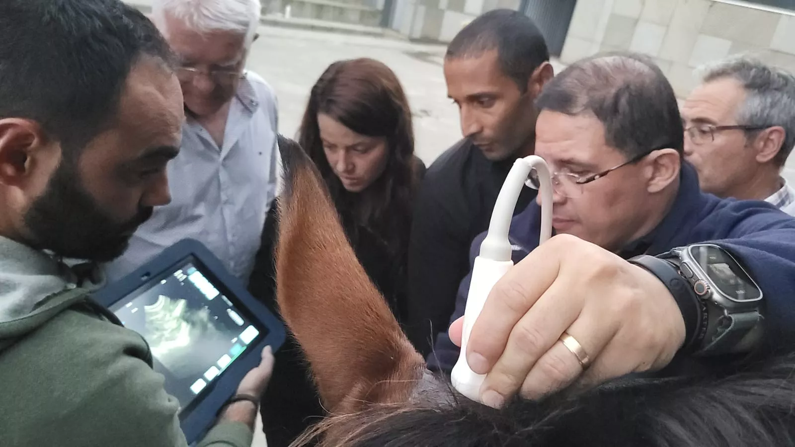 Jaque-Mate, curso de Humeco para veterinarios impartido por el doctor Jaramillo