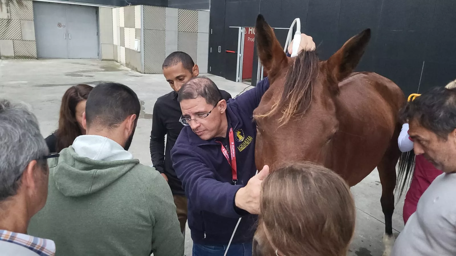 Jaque-Mate, curso de Humeco para veterinarios impartido por el doctor Jaramillo
